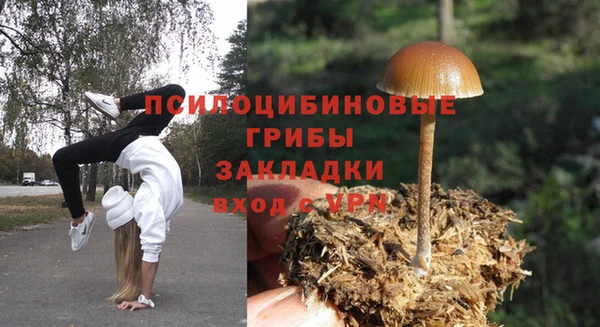 мяу мяу мука Абаза