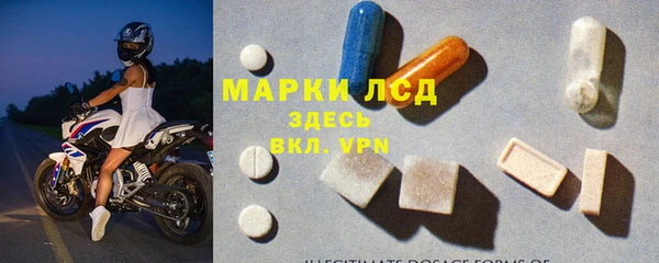 мяу мяу мука Абаза
